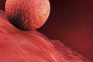 2026年青海省西宁市十大最火私立助孕机构一览，助力不孕家庭！