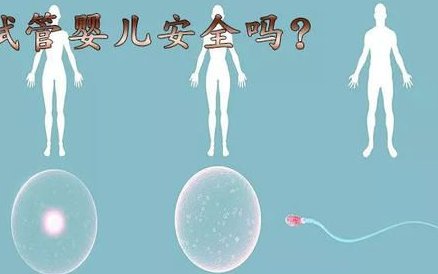 南平三大助孕公司是哪三家？附真实费用参考