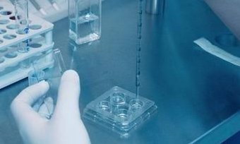 上海哪家专业助孕机构费用低效果佳？揭秘性价比之王！