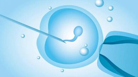 试管婴儿会透支卵子女性早衰吗？获卵数量越多越好？