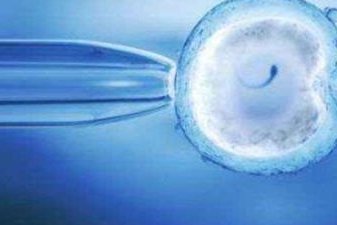 朝阳市中心医院试管婴儿成功率及费用详解